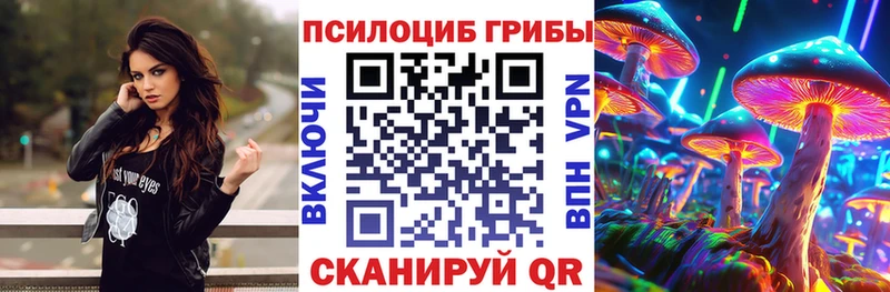 маркетплейс клад  Таруса  Галлюциногенные грибы Cubensis 