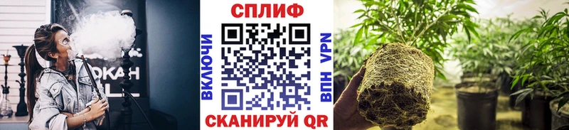 Шишки марихуана семена  цена наркотик  Таруса 